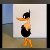 zggg.tap.on.a.cli