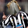 shovelnedved
