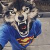 s3ni4kagd6