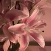 userr_4ysmn
