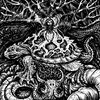 triatic_nautilus