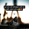 samerh545