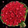 user5129143913011