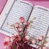 user31491863761813