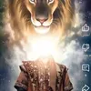 ali.ahmed5734