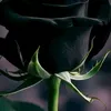 .aziz8473