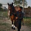zulqarnain7257