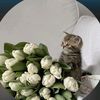 user9447452169260