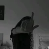 dudinha_pocoyo