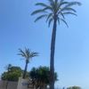holliecoogan8