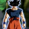user75716202228292