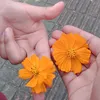 alissondejesus00