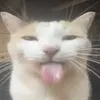 handfat__alt