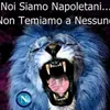 sasacaso6
