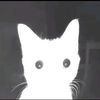 luna.llena966