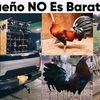 olivercarrillo63