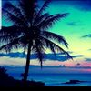 user471311450