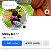 sreay.ne6