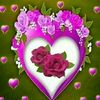 user2260884967117