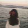 becca_9900