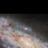 bio.claros