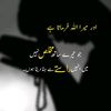 mr_...._tom