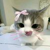 inluvv_selvia0