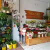 shophoathienphuc