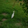pind.life73