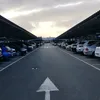 frentesaharaui