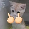 tolachipdayni