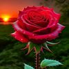md.rion.khan36