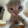 beauty_lesya0
