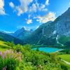 hashir.khan4409