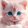 user8301882170151