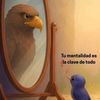 user157639898