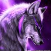 user7958105307715