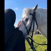 sandi.9_