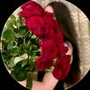 akram.toualbia67