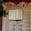 zakor.mostafa
