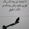 user5881885657616