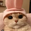 mohammad.abrisham0