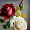 user7203036558773