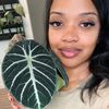 bloombossnat