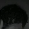 danzinvr