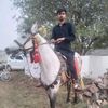 dilawar.ali982