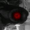 korizen_nissha123