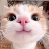 lalalabila_07