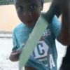 wilaiki.custodio