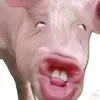 bdpeepaso2